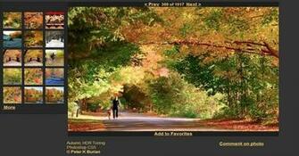 High Definition Wallpaper Photo Microsoft Html