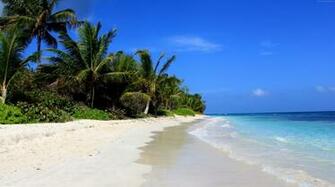 Bahia Beach Resort Puerto Rico Coolgreengadgets
