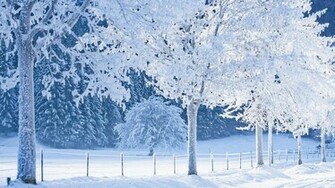 Real Snowy Background Wallpaper HD