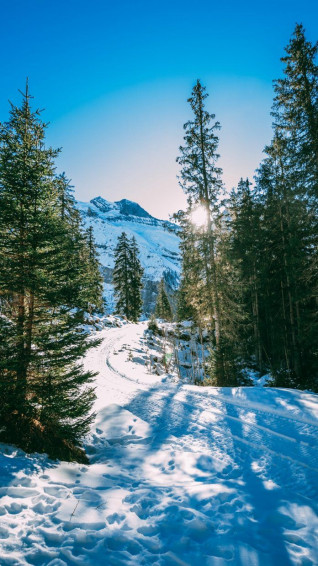 Winter Wallpaper HD For iPhones And Android Sonaija