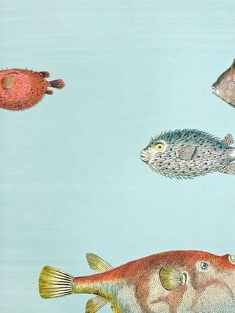 Acquario Wallpaper Pale Blue Brush Stripe With Vibrant