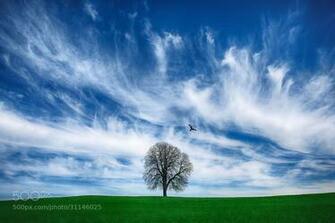 Photograph Windows Default Wallpaper By John Wilhelm Is A Photoholic