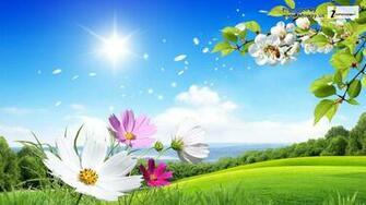 HD Wallpaper Desktop Summer Flowers Beautiful Scenery
