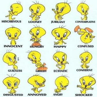 The Tweety Picture Gallery All Pictures Full Size