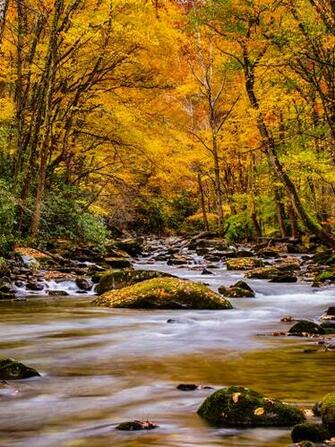 Smoky Mountain National Park For Mobile Phones Wallpaper HD
