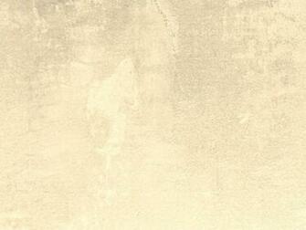 Cream Colored Background