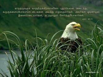Christmas Cards Nature Cute Bible Verse Wallpaper
