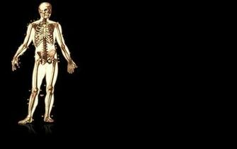 Skeleton Wallpaper