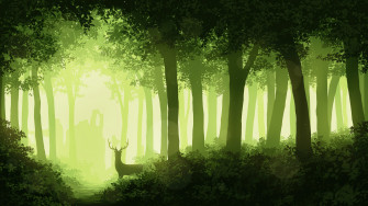 Deer Forest 4k Laptop Full HD 1080p Wallpaper Image Photos And