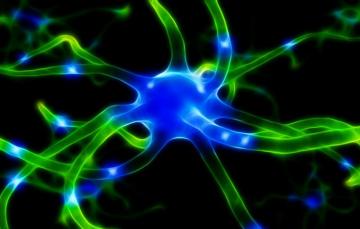 Wallpaper Light Color Structure The Volume Flora Microbe