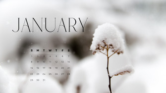 Desktop Background January A Dash Of Kam