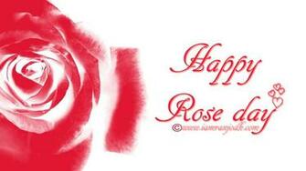 Adorable Rose Day Greeting Pictures And Image