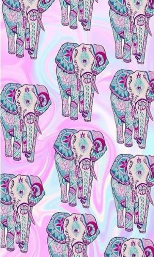 Elephant Background