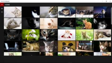 Microsoft Apps