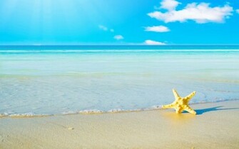 Summer Background Wallpaper HD