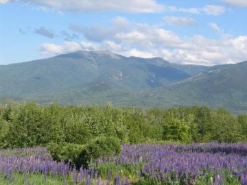 Desktop Background New England