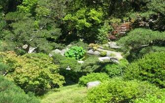 Japanese Garden Art Prints Wall And Posters Murals Buy A