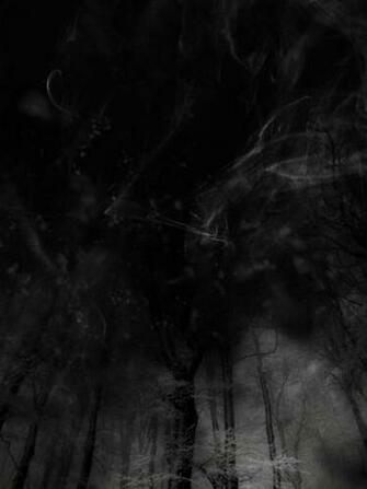 Smokey Forest Background By Asmodeisis