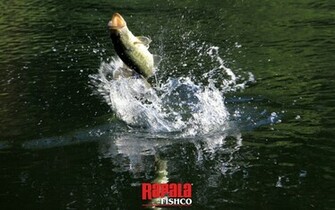 Rapala Fishco Wallpaper