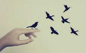 Birds Wallpaper Fly By