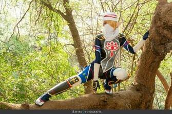 Sheik Of Hyrule Warriors By Melodyzombie