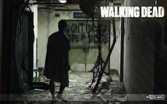 The Walking Dead Wallpaper
