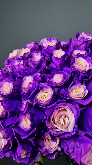 Top Purple Rose Wallpaper Full HD 4k To Use