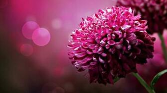 Desktop Background 3d Net