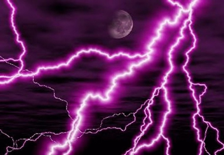 Purple Dragon Wallpaper
