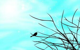 Bird Silhouette Wallpaper