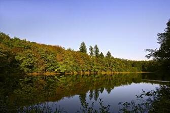 Real Nature Pictures