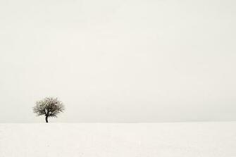 Minimal Desktop Wallpaper Entertainmentmesh