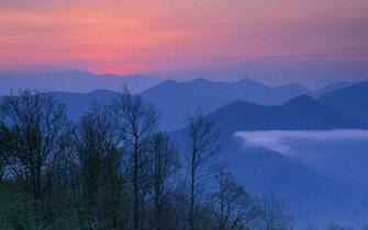 Forest Joyce North Carolina Wallpaper Allwallpaper In Pc
