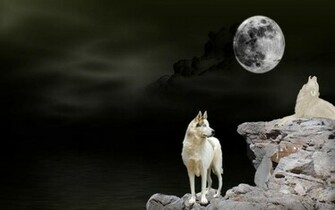 HD Howling Wolf Waters Wallpaper