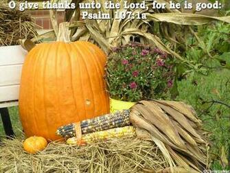 Fall Foliage Wallpaper