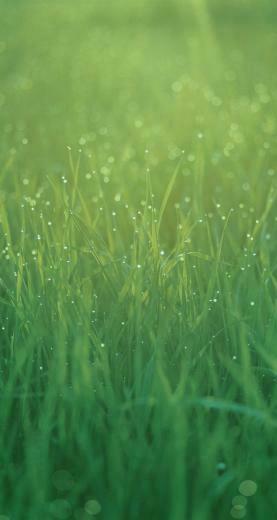 Awesome iPhone Wallpaper Default Image About On