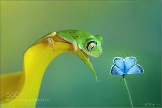 500px Rare Image Of The World Unseen