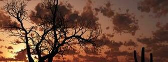 Beautiful Landscapes Gangster Girl Wallpaper Picture
