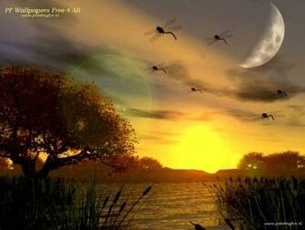Pf Wallpaper You Gratis En Achtergronden