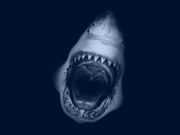 Great White Shark Desktop Pc And Mac