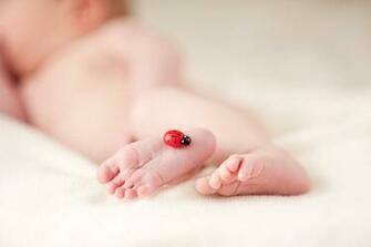 Cute Baby Feet HD Wallpaper Welcome To Starchop