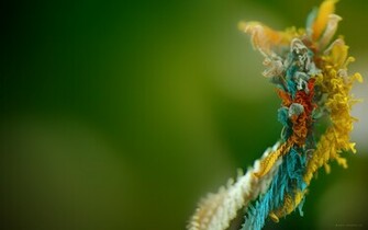Micro Object Wallpaper HD