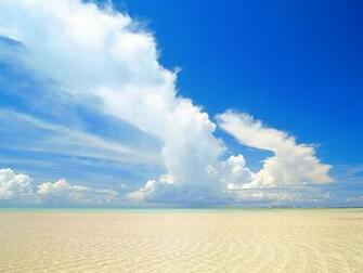 Endless Beach Shore Background Wallpaper