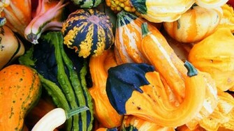 Pumpkins Wallpaper
