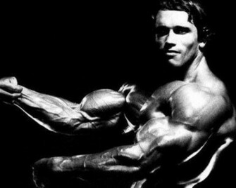 Arnold Schwarzenegger Wallpaper