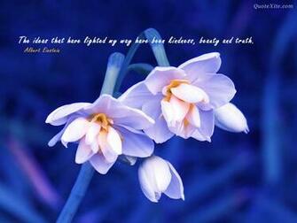 Inspirational Wallpaper The Secret