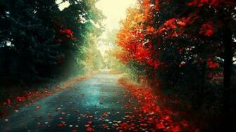Beautiful Rain Wallpaper For Your Desktop Part