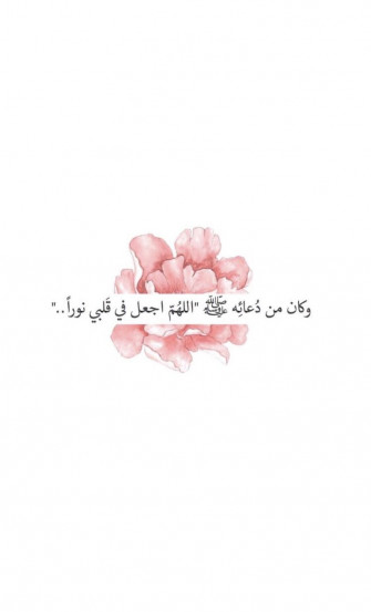 Meshii On Pink Wallpaper Background Never Lose