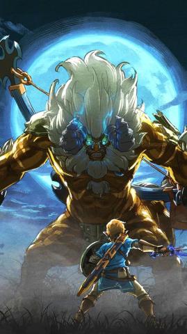 Breath Of The Wild Dlc Pack Legend Zelda