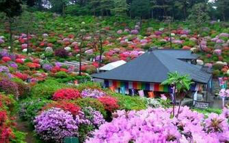 Japanese Garden Wallpaper Background Desktop